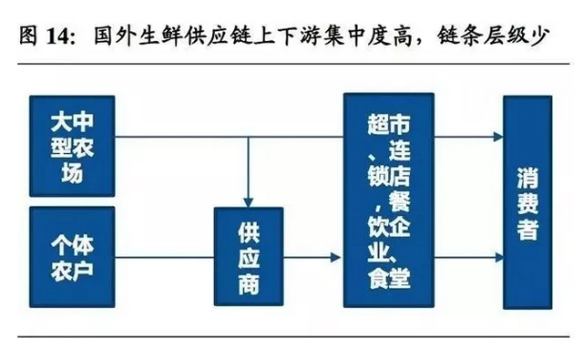 掘金万亿生鲜B2B，哪类企业能胜出？