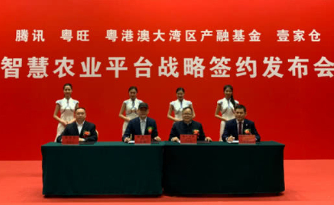 腾讯布局农业产业互联网,首个智慧农业项目亮相